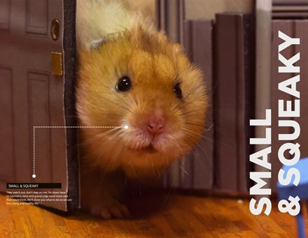Small & Squeaky